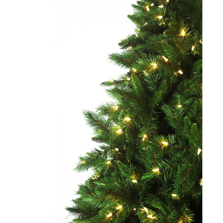 Brunswick spruce christmas on sale tree 6ft